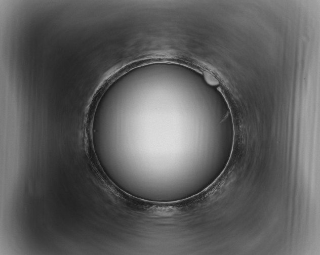 X0000100321168200806051510