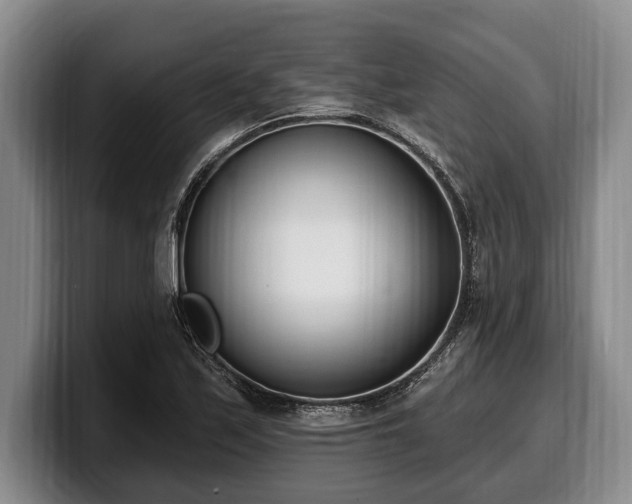 X0000100321171200806051510