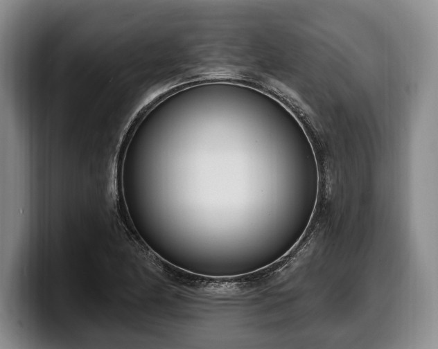 X0000100321174200806051510