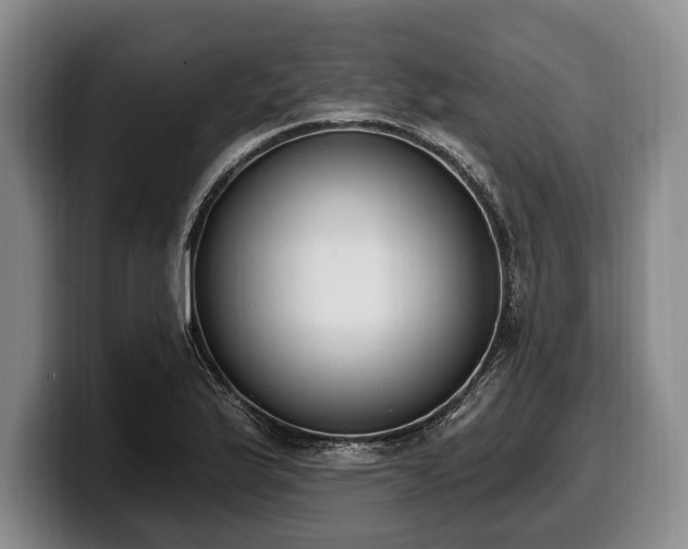 X0000100321175200806051510