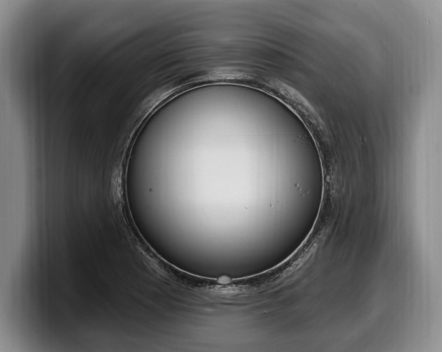 X0000100321177200806051510