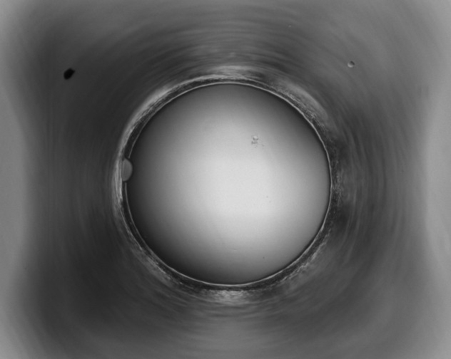 X0000100321180200806051510