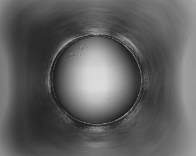 X0000100321182200806051510