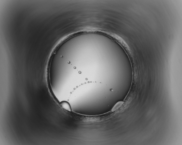 X0000100321183200806051510