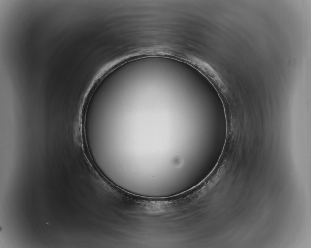 X0000100321184200806051510
