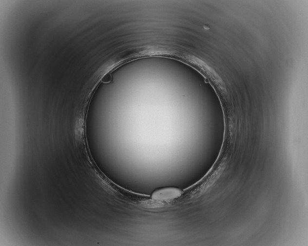 X0000100321185200806051510