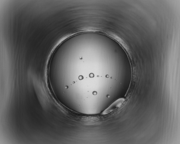 X0000100321187200806051510