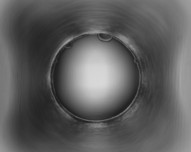X0000100321189200806051510