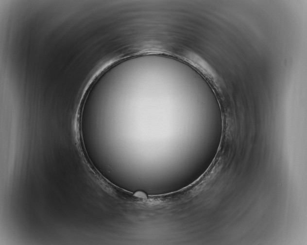 X0000100321190200806051510