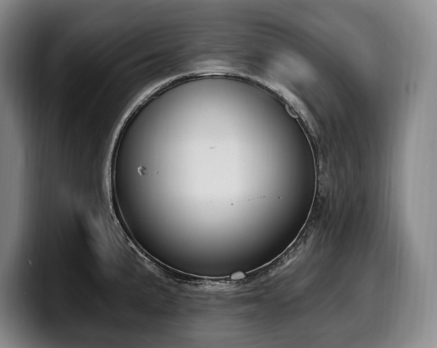 X0000100321191200806051510