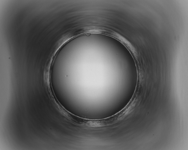 X0000100321194200806051510