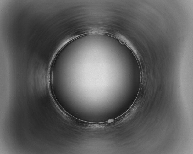 X0000100321195200806051510
