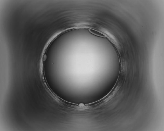 X0000100321196200806051510