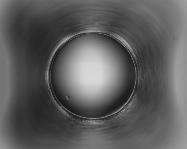 X0000100321197200806051510