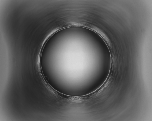 X0000100321198200806051510