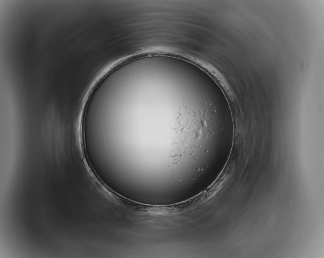 X0000100321199200806051510
