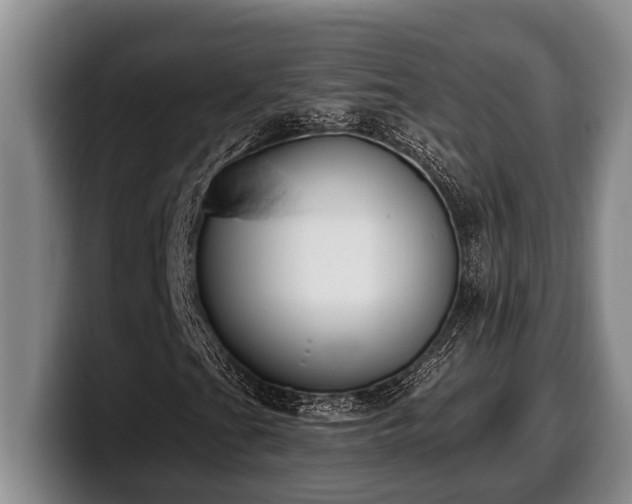 X0000100321201200806051509