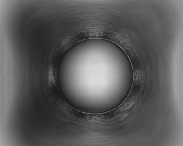 X0000100321202200806051509