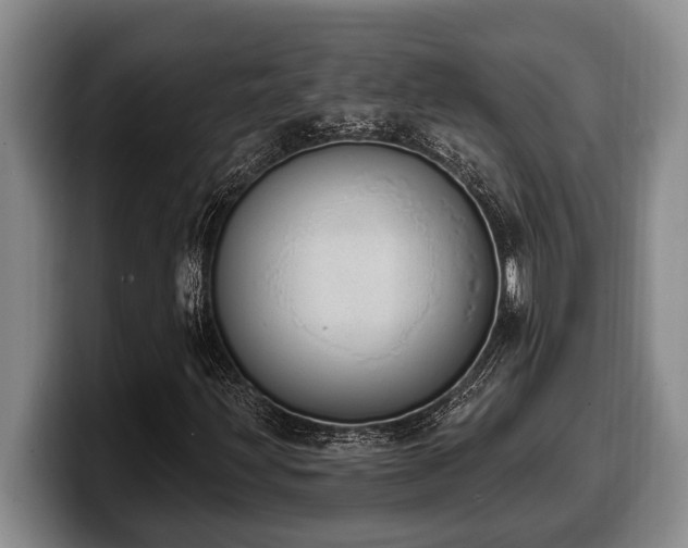 X0000100321203200806051509