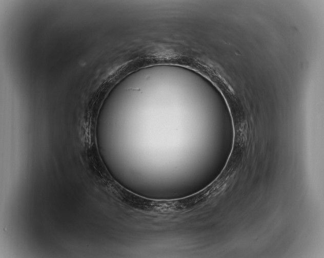 X0000100321205200806051509