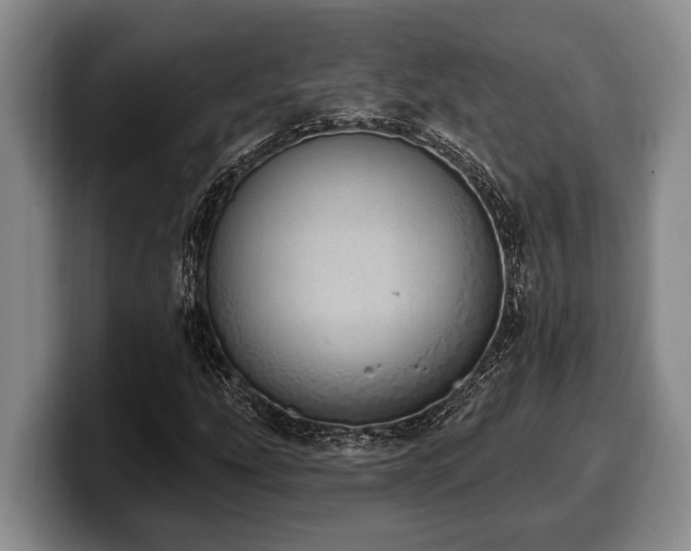 X0000100321207200806051509