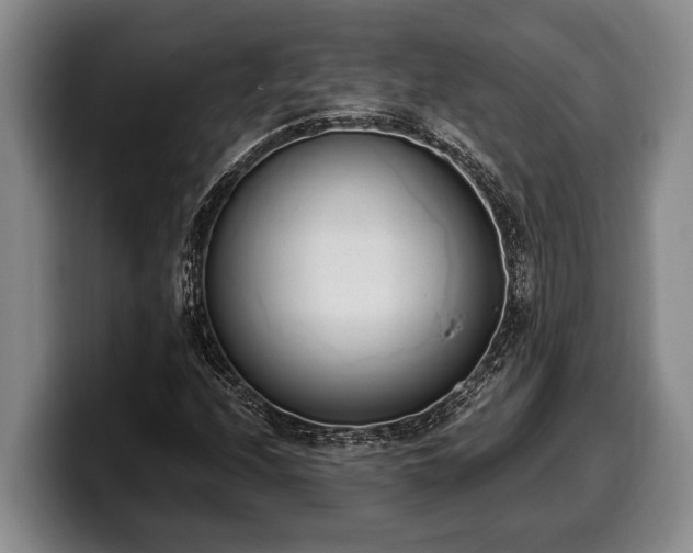 X0000100321208200806051510