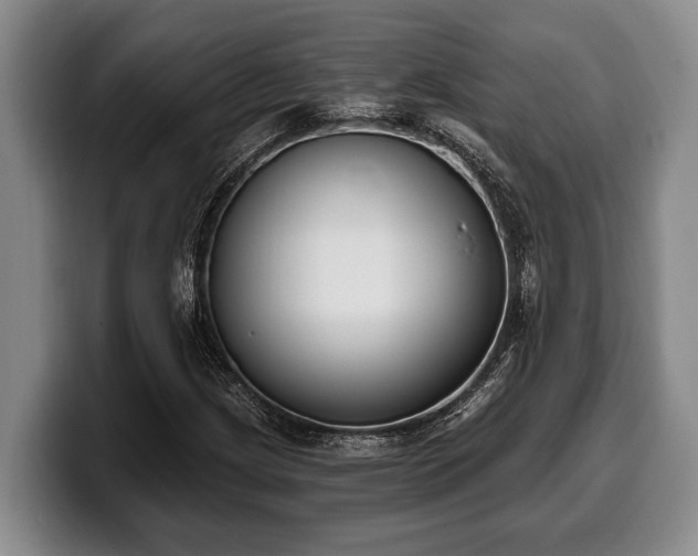 X0000100321209200806051510