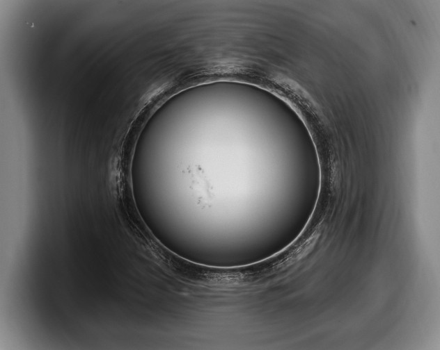 X0000100321210200806051510