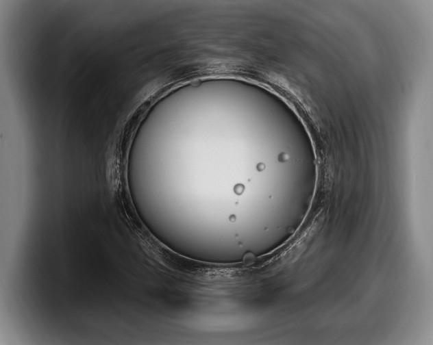 X0000100321211200806051510