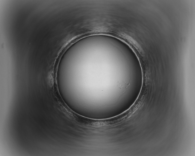 X0000100321212200806051510
