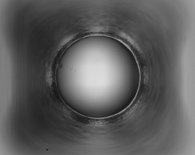 X0000100321213200806051510