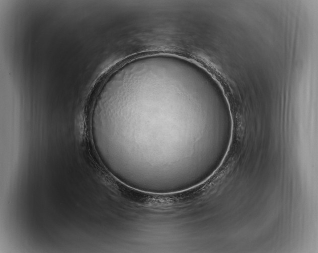 X0000100321215200806051510
