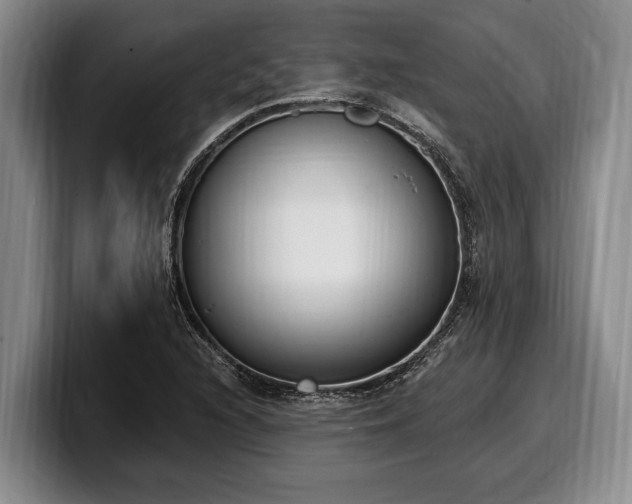 X0000100321216200806051510