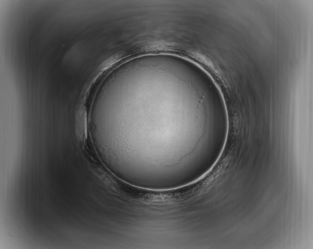 X0000100321219200806051510