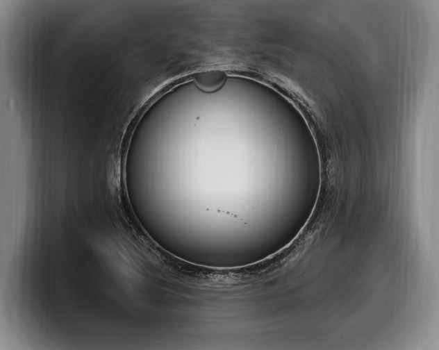 X0000100321220200806051510