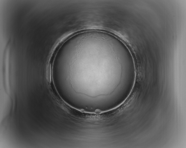X0000100321223200806051510