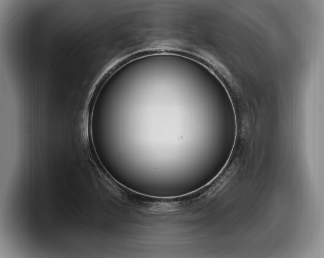 X0000100321224200806051510