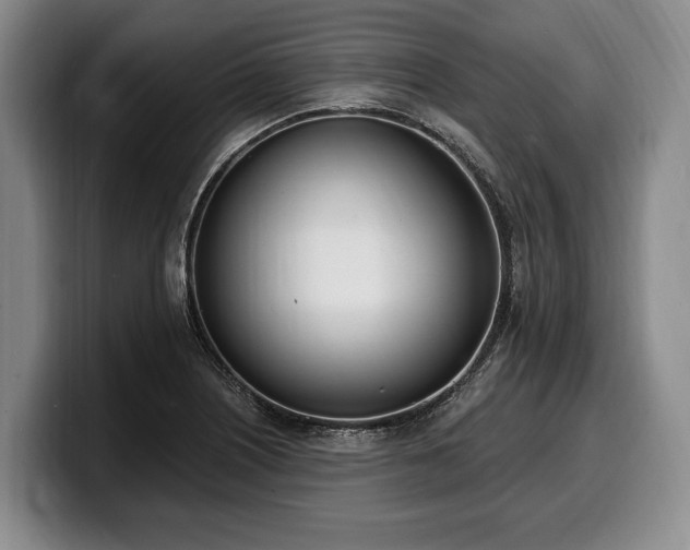 X0000100321226200806051510
