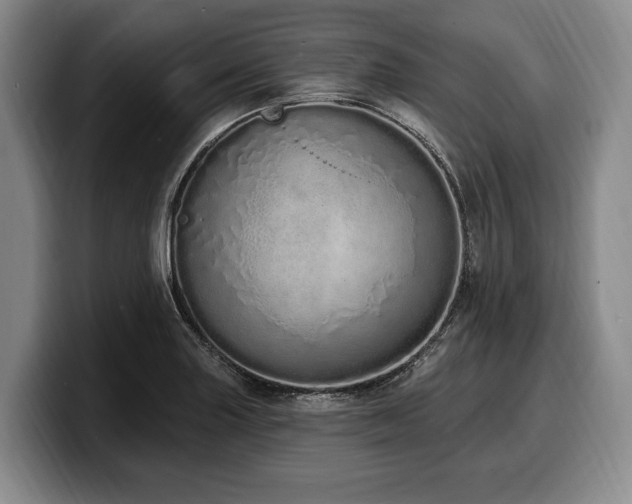 X0000100321227200806051510