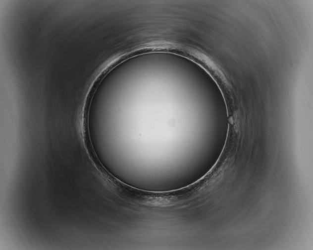 X0000100321229200806051510
