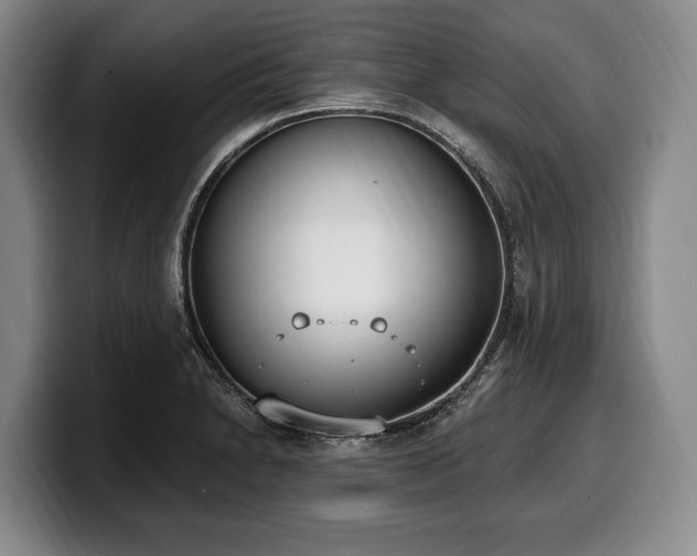 X0000100321230200806051510