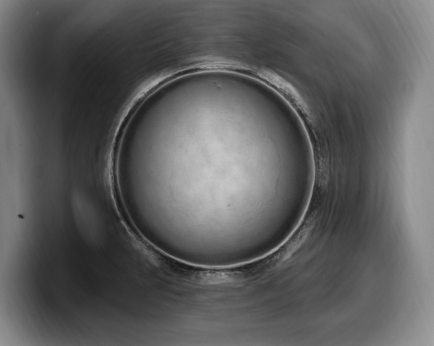 X0000100321231200806051510
