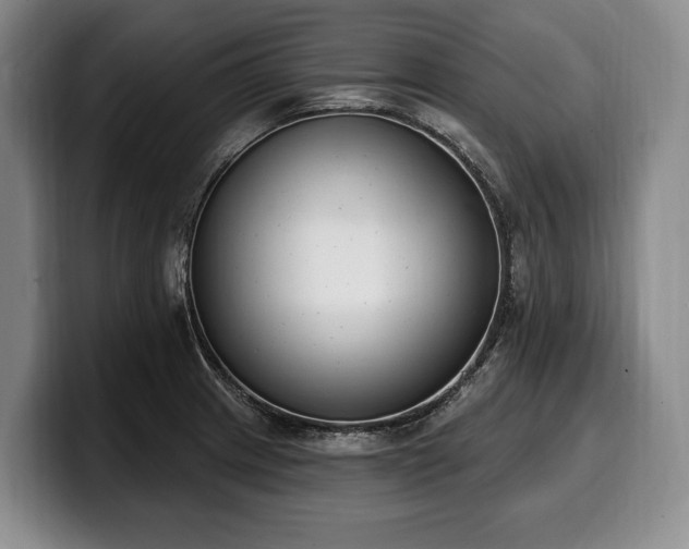 X0000100321233200806051510