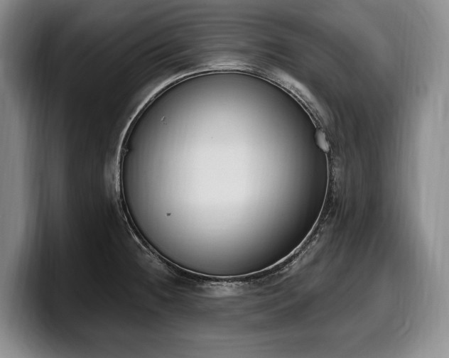 X0000100321236200806051510