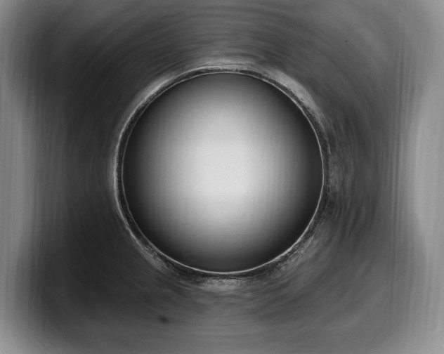 X0000100321237200806051510