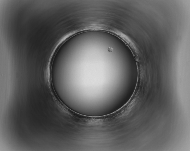 X0000100321238200806051510