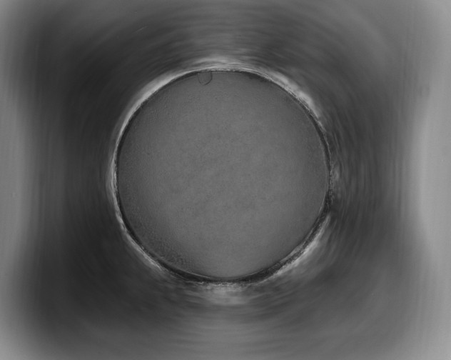 X0000100321239200806051510