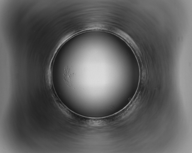X0000100321242200806051510