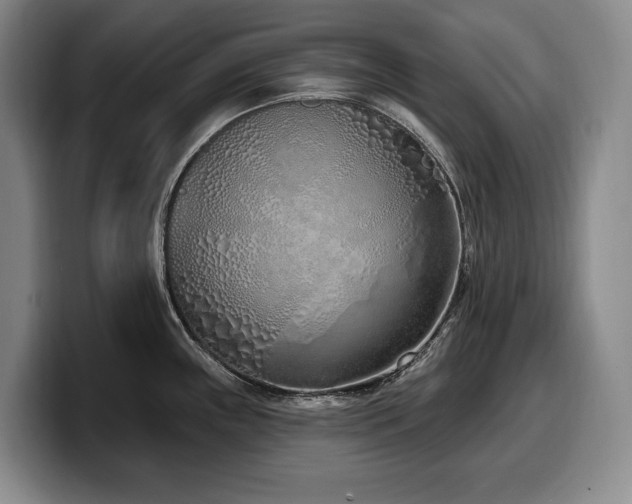 X0000100321243200806051510
