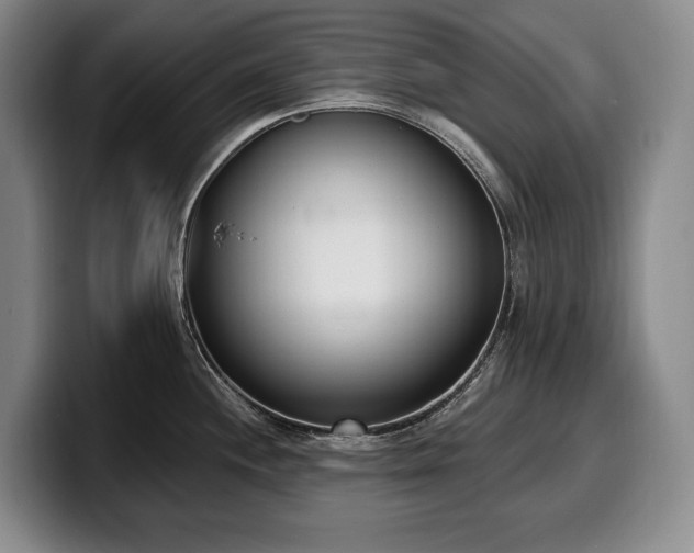 X0000100321244200806051510